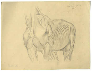 Visualizza l'immagine "FD D 168"